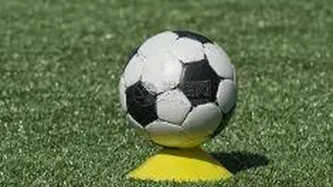 車路士前鋒尼高斯傳聞