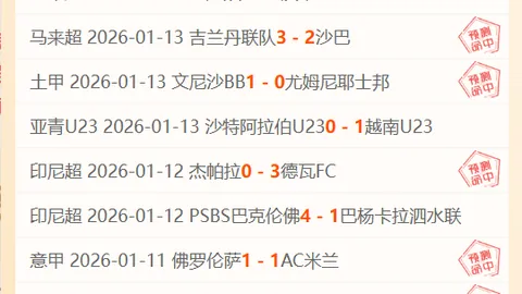 邓伯什CEO就王博豪遭歧视事件发声：愤怒禁入球场